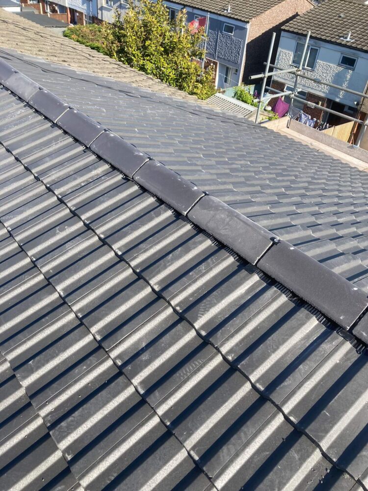 Rapid Roofline Project